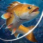 Download Fishing Hook Hack Mod Apk (Unlimited Money) v2.5.6 Download Fishing Hook Hack Mod Apk (Unlimited Money) v2.5.6