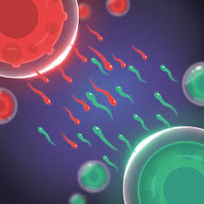 Cell Expansion Wars Mod v1.2.4 (Uang Tidak Terbatas) Cell Expansion Wars Mod v1.2.4 (Uang Tidak Terbatas)