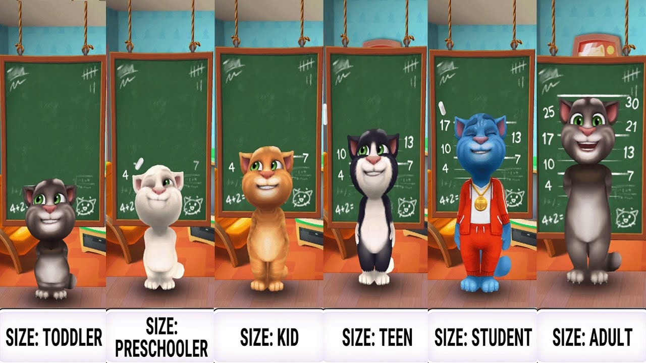 Cham soc cho meo Tom trong My Talking Tom - Tải Hack My Talking Tom Mod Apk (Vô Hạn Tiền) v25.2.2.6470 My Talking Tom người chơi sẽ chăm sóc chú mèo Tom trong ngôi nhà của cậu