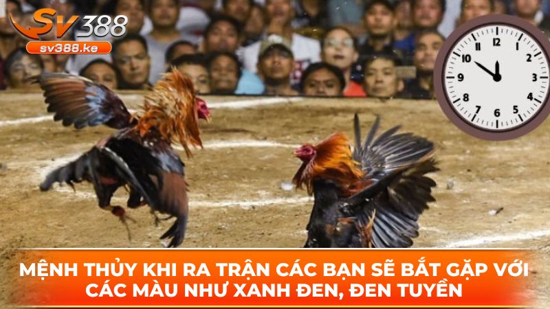 Mệnh thủy khi ra trận các bạn sẽ bắt gặp với các màu như xanh đen, đen tuyền