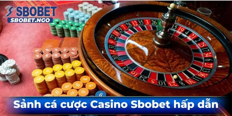 casino sbobet 1 - Sbobet Casino – Đỉnh Cao Giải Trí Cá Cược Trực Tuyến Năm 2025 Sbobet Casino Là Gì?