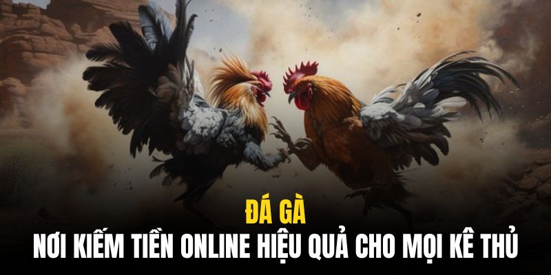 da ga 8live - Đá Gà 8live | Nơi Kiếm Tiền Online Hiệu Quả Cho Mọi Kê Thủ Đá Gà 8live | Nơi Kiếm Tiền Online Hiệu Quả Cho Mọi Kê Thủ