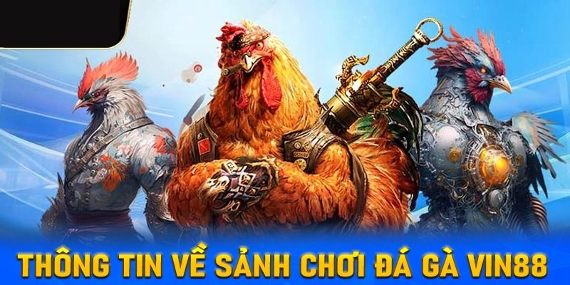 da ga vin88 1 1 - Đá Gà VIN88 – Sân Chơi Cá Cược Hấp Dẫn Dành Cho Anh Em Giới thiệu về đá gà VIN88
