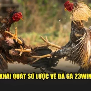 Đá gà 23win – Thế Giới Cá Cược Số Hóa Đầy Kịch Tính