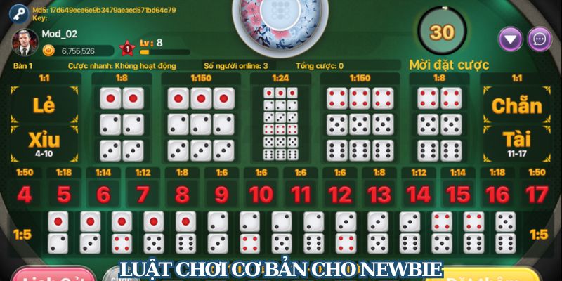 Luật chơi cơ bản cho newbie